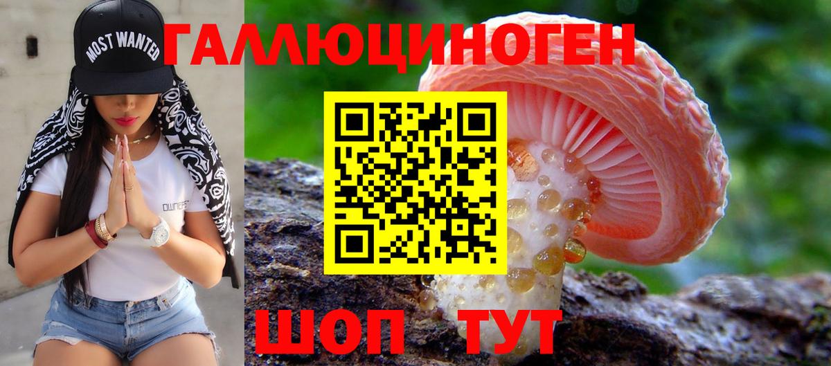 где купить   Вход с VPN  Железноводск  Псилоцибиновые грибы Cubensis 